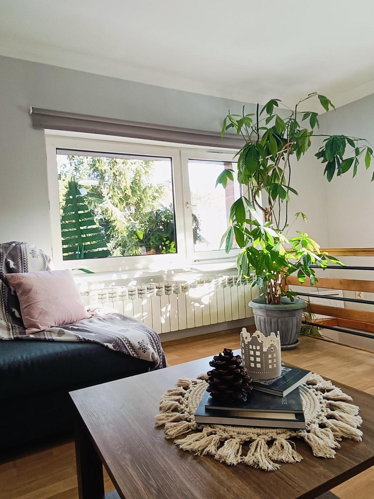 Apartament Nad Potokiem Piechowice  Exterior foto